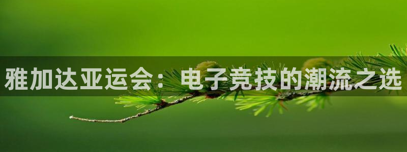 完美电竞查询：雅加达亚运会：电子竞技的潮流之选