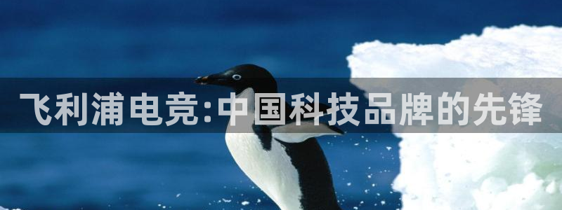 完美电竞绑定steam：飞利浦电竞:中国科技品牌的先锋