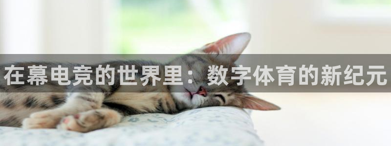 完美电竞绑定steam：在幕电竞的世界里：数字体育的新纪元