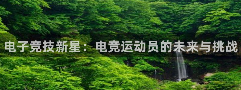 完美电竞世界官网：电子竞技新星：电竞运动员的未来与挑战