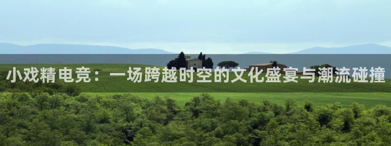完美电竞平台排行榜：小戏精电竞：一场跨越时空的文化盛宴与潮流碰撞