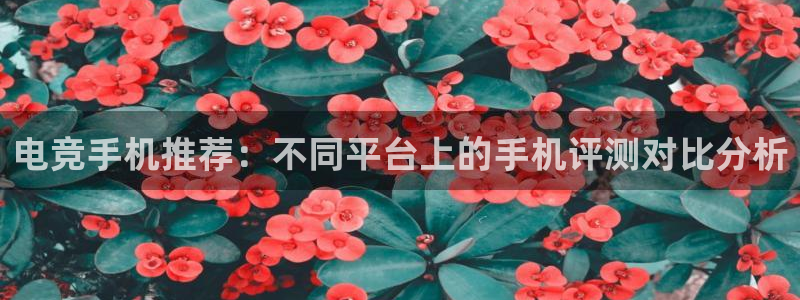 csgo完美电竞：电竞手机推荐：不同平台上的手机评测对比分析