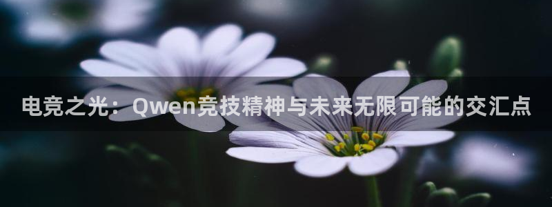完美电竞注册：电竞之光：Qwen竞技精神与未来无限可能的交汇点