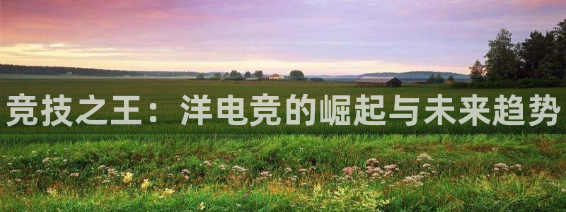 完美电竞手机app：竞技之王：洋电竞的崛起与未来趋势
