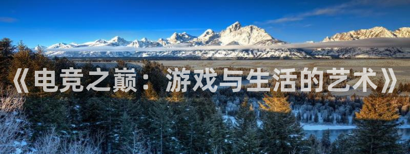 完美电竞手机app：《电竞之巅：游戏与生活的艺术》