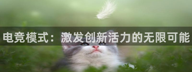 完美电竞|官网：电竞模式：激发创新活力的无限可能
