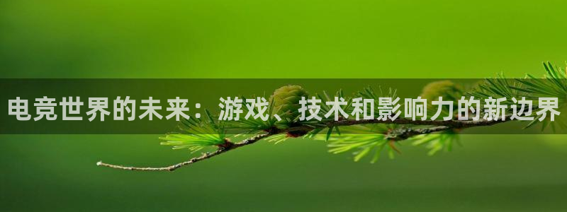 完美电竞世界官网：电竞世界的未来：游戏、技术和影响力的新边界