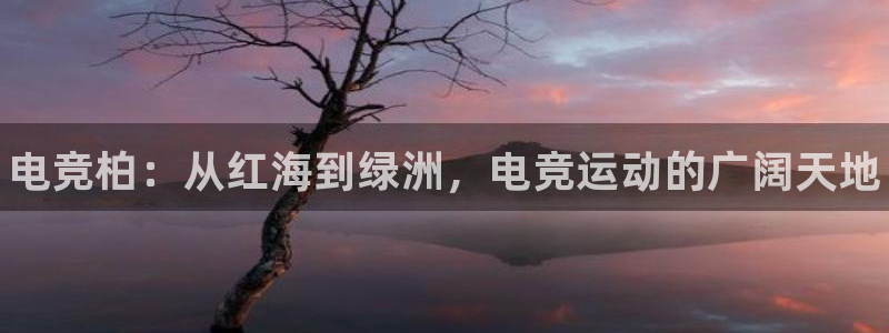 完美电竞世界平台：电竞柏：从红海到绿洲，电竞运动的广阔天地