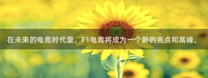 完美电竞账号：在未来的电竞时代里，F1电竞将成为一个新的亮点和高峰。